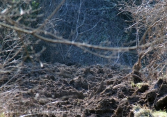 Tuscania - La boscaglia dove è precipitato l\'elicottero