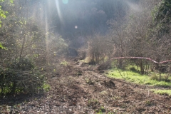 Tuscania - La boscaglia dove è precipitato l\'elicottero