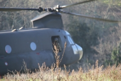 Recupero dell\'elicottero precipitato - L\'intervento di un CH-47 Chinook