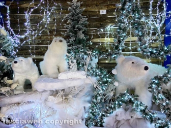 Il Regno di Babbo Natale