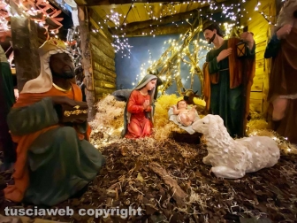 Il Regno di Babbo Natale