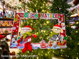Il Regno di Babbo Natale