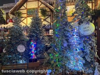 Il Regno di Babbo Natale