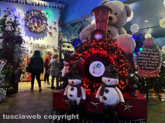 Il Regno di Babbo Natale