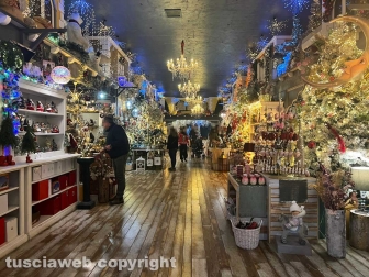 Il Regno di Babbo Natale