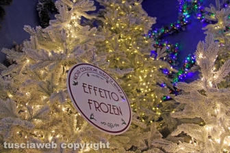 Il Regno di Babbo Natale