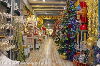 Il Regno di Babbo Natale