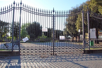 Il risveglio della città