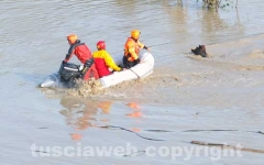 Il salvataggio di Sbirulino