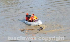 Il salvataggio di Sbirulino