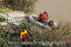Il salvataggio di Sbirulino