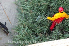 Il salvataggio di Sbirulino