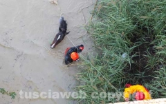 Il salvataggio di Sbirulino