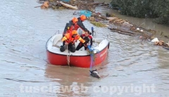 Il salvataggio di Sbirulino