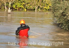 Il salvataggio di Sbirulino