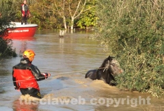 Il salvataggio di Sbirulino