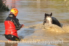 Il salvataggio di Sbirulino