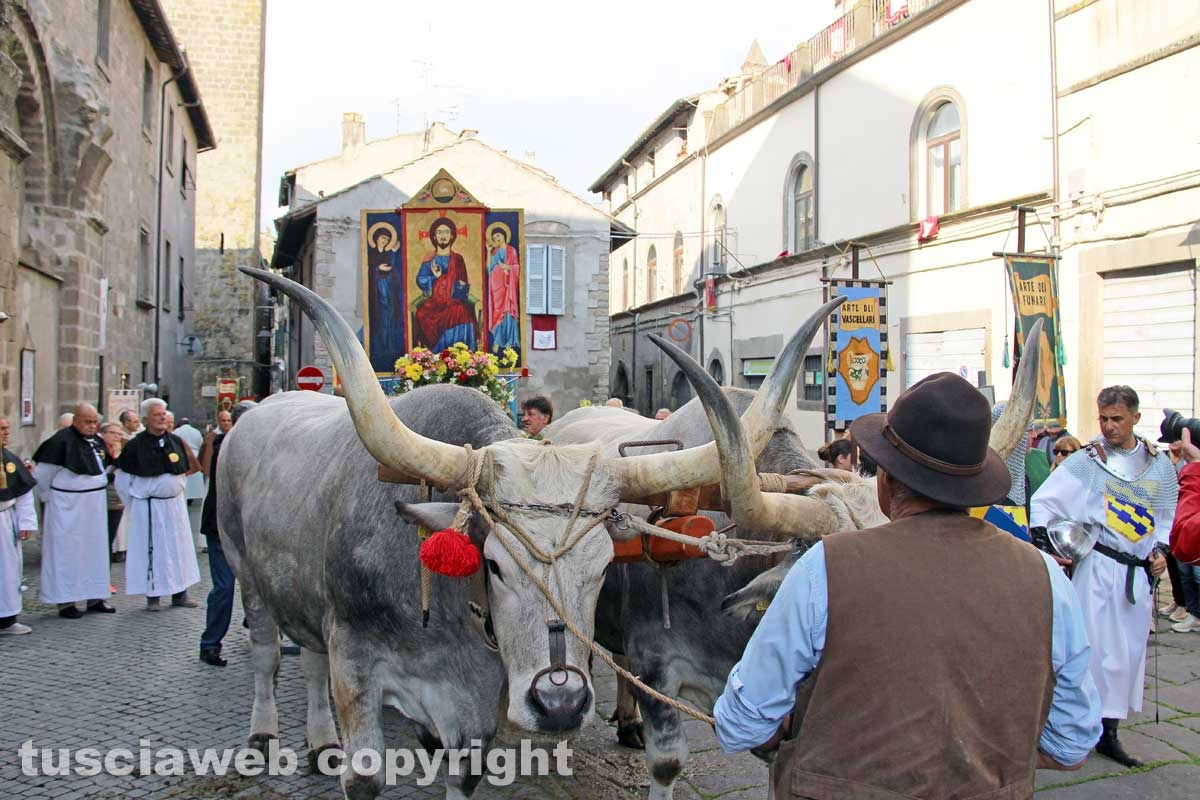 Viterbo - Il santissimo Salvatore tra le vie del centro