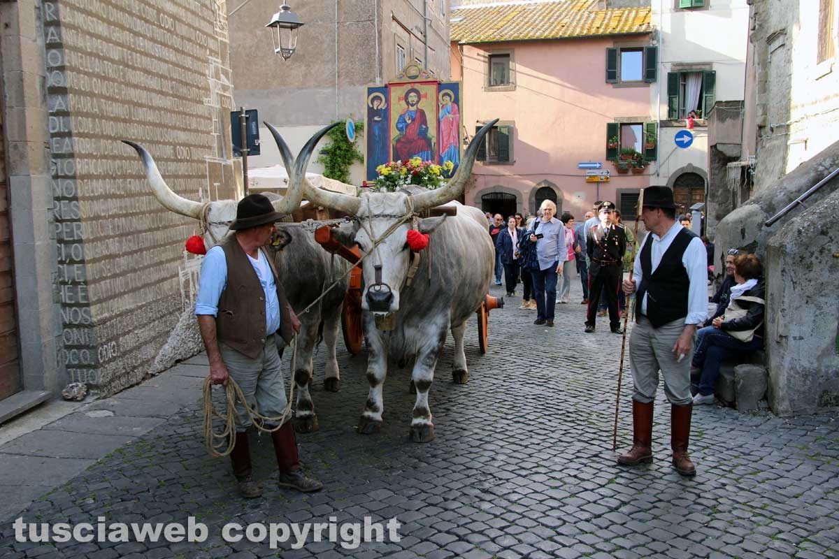 Viterbo - Il santissimo Salvatore tra le vie del centro
