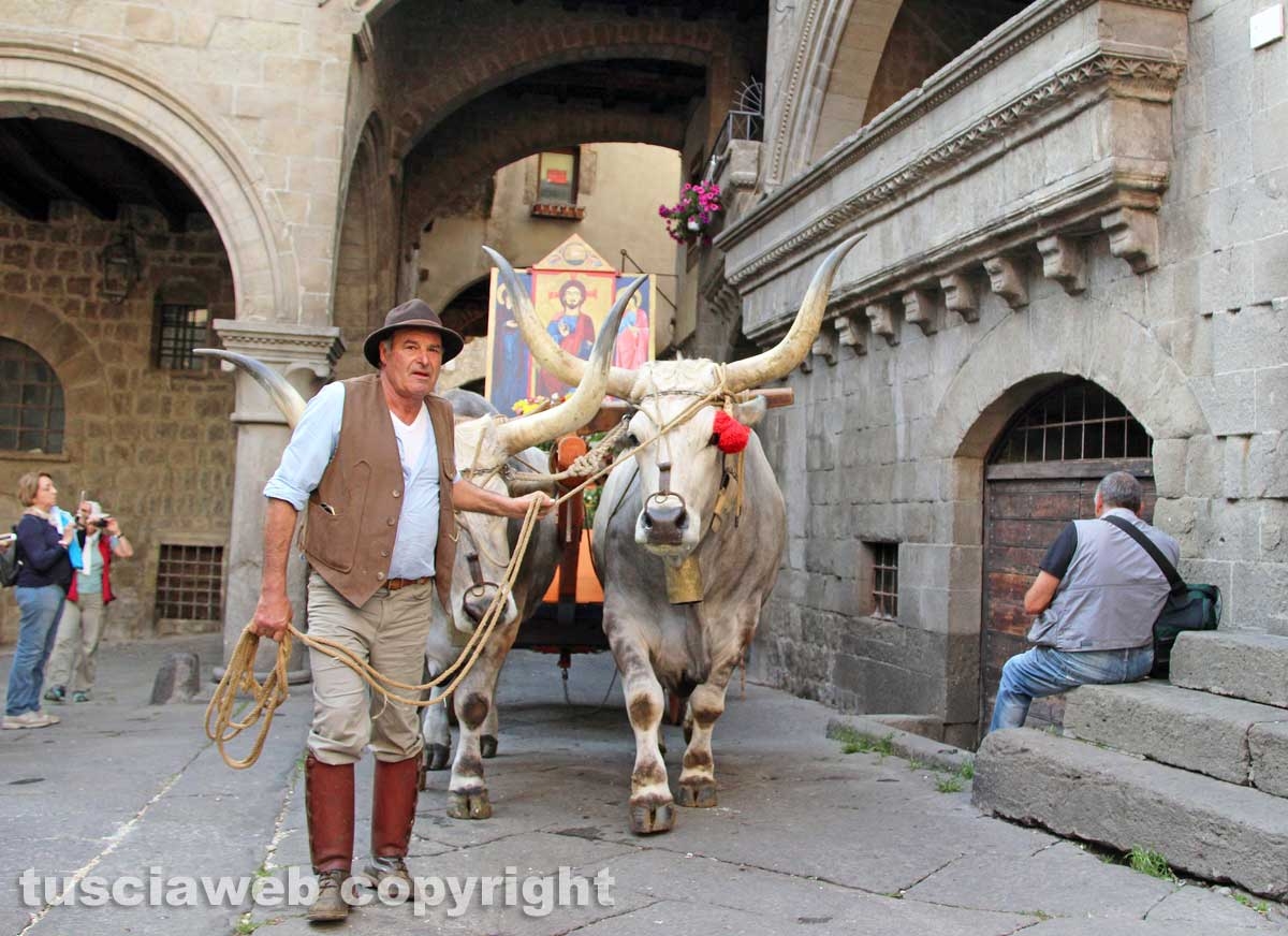 Viterbo - Il santissimo Salvatore tra le vie del centro