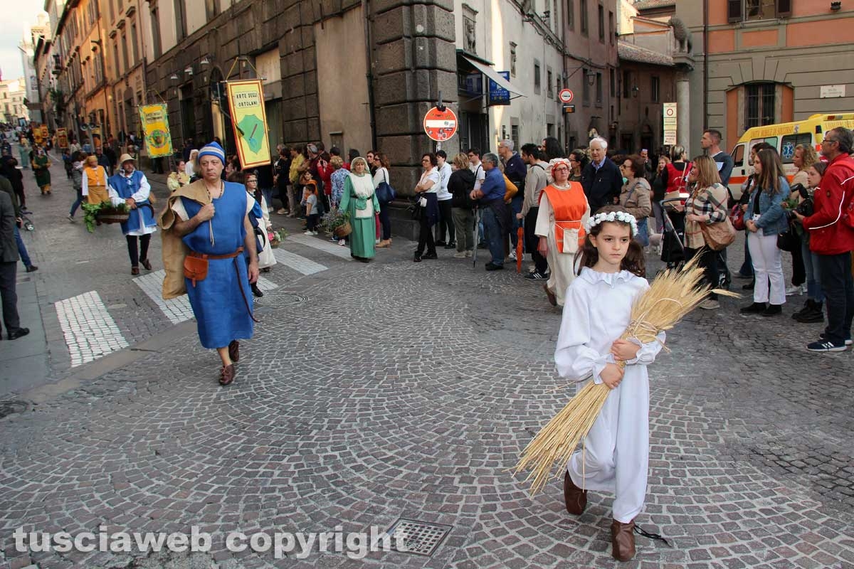 Viterbo - Il santissimo Salvatore tra le vie del centro