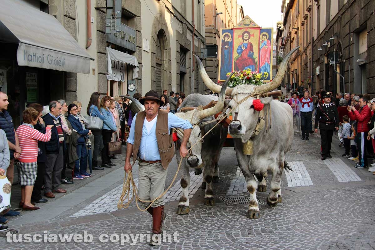 Viterbo - Il santissimo Salvatore tra le vie del centro