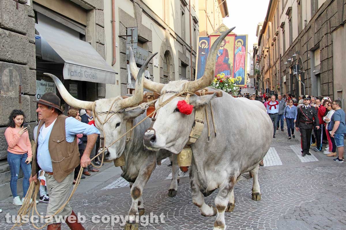 Viterbo - Il santissimo Salvatore tra le vie del centro