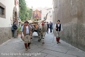 Viterbo - Il santissimo Salvatore tra le vie del centro