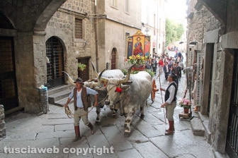 Viterbo - Il santissimo Salvatore tra le vie del centro