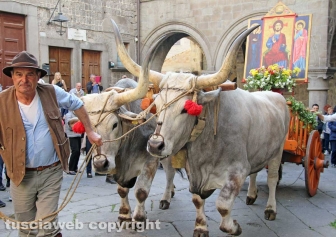 Viterbo - Il santissimo Salvatore tra le vie del centro