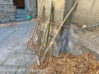 Il set di "The Decameron"