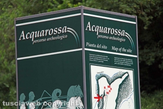 Il sito dell'Acquarossa