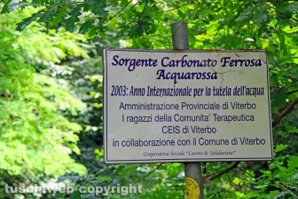 Il sito dell'Acquarossa