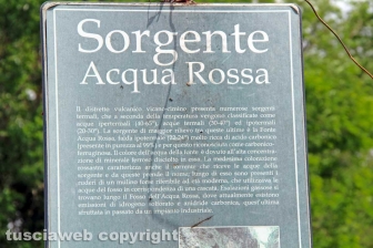 Il sito dell'Acquarossa