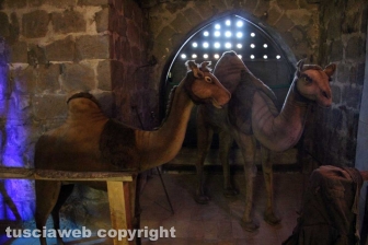 Il suggestivo presepe a Palazzo dei Papi