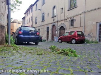Viterbo - Il taglio dell'erba a via Vetulonia