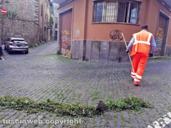 Viterbo - Il taglio dell'erba a via Vetulonia
