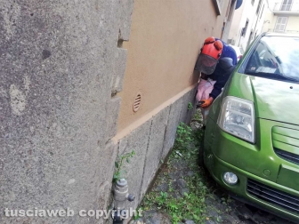 Viterbo - Il taglio dell'erba a via Vetulonia