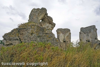 Termalismo sociale - Le terme del Bacucco