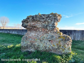 Termalismo sociale - Piscine Carletti