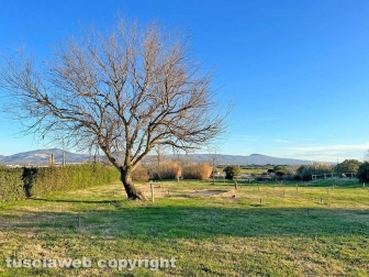 Termalismo sociale - Terme del Bagnaccio