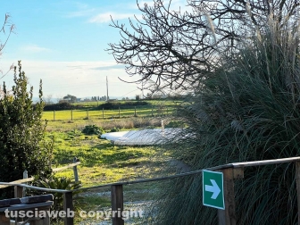 WhatsApp-Image-2023-01-26-at-23.53.10