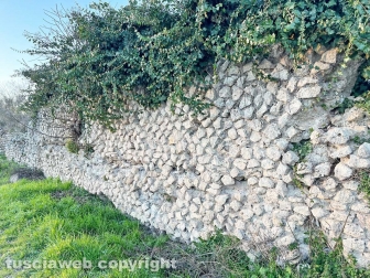 WhatsApp-Image-2023-01-26-at-23.55.26