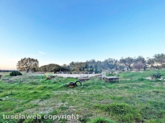 WhatsApp-Image-2023-01-26-at-23.55.30