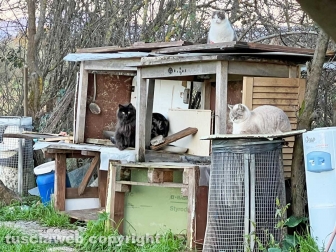 WhatsApp-Image-2023-01-26-at-23.55.33-(1)