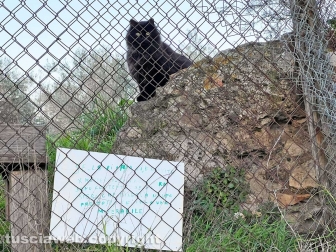 WhatsApp-Image-2023-01-26-at-23.55.36