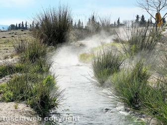 WhatsApp-Image-2023-01-26-at-23.57.22