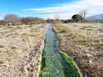 WhatsApp-Image-2023-01-26-at-23.57.23-(1)