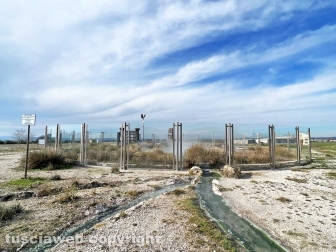 WhatsApp-Image-2023-01-26-at-23.57.24