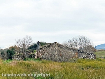 WhatsApp-Image-2023-01-26-at-23.59.35-(1)